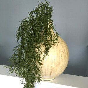 Pottery Barn Mother of Pearl Shell Round Decorative Vase Pot Abalone Farmhouse